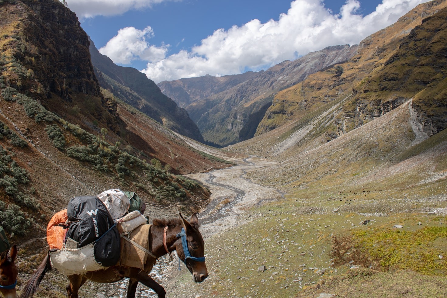 Rupin Pass Trek